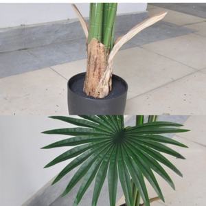 <span class=keywords><strong>Palmier</strong></span> artificiel chinois en <span class=keywords><strong>éventail</strong></span>, <span class=keywords><strong>palmier</strong></span> simulé haut de gamme pour l'aménagement paysager de vitrine de magasin, décoration de <span class=keywords><strong>palmier</strong></span> en plastique, vente en gros - Product Image 4