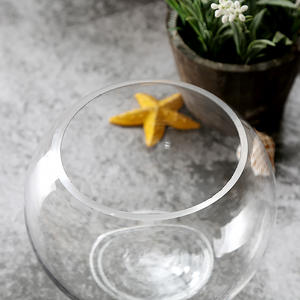 Pot de fleurs en verre pour <span class=keywords><strong>Aquarium</strong></span>, pièces, <span class=keywords><strong>Aquarium</strong></span> pour poissons - Product Image 3