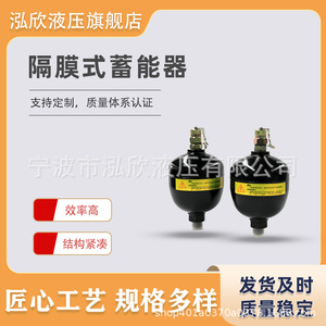 Accumulateur à diaphragme Hongxin, cylindre soudé en acier pour excavatrice HX002 - Product Image 4