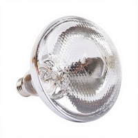 Nouvelle Lampe Chauffante Infrarouge en Verre Étanche WQXM 100W/150W/200W/250W 220V, Ampoule Rouge à Effet Nid d'Abeille pour Couveuse de Poussins