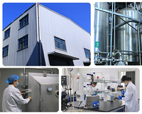 Pincredit Prix d'usine Édulcorant naturel Sucre Rebaudioside M 95% Reb M Stévia
