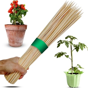Pinchos <span class=keywords><strong>de</strong></span> 4,5 MM <span class=keywords><strong>de</strong></span> diámetro X 20 "<span class=keywords><strong>de</strong></span> longitud, pincho <span class=keywords><strong>de</strong></span> bambú para surcos con ranura <span class=keywords><strong>de</strong></span> cabeza cóncava para soporte <span class=keywords><strong>de</strong></span> plantas, etiqueta <span class=keywords><strong>de</strong></span> planta <span class=keywords><strong>de</strong></span> bambú - Product Image 1