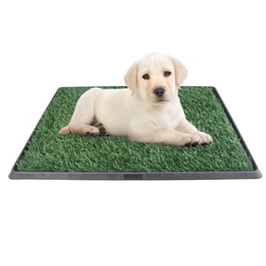 Caixa de Areia para Cães, Bandeja de Treinamento Sanitário com Tapete de Grama Artificial de Plástico, Acessórios para Sanitário Interno e Externo para Filhotes - Product Image 1