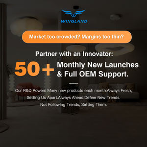 Faretto LED Doppio/Triplo Moderno per Soggiorno, Showroom, Parete di Sfondo, Minimalista in Ferro - Product Image 4