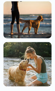 도매 사용자 정의 벨벳 직물 안감 개 목걸이 조정 가능한 길이 통기성 프리미엄 애완 동물 목 고리 - Product Image 6