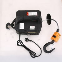 Mini palan électrique portable en métal 100 kg-500 kg Utilisation dans les restaurants Haute qualité Petite grue à câble métallique
