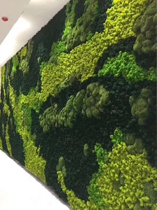 Wholesale Stabilize Reindeer <strong>Moss</strong> Wall Art <strong>Moss</strong> Panel Decorations Preserved <strong>Moss</strong> - Product Image 4