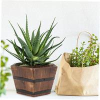 Pot de fleurs en bois massif Whiskey Barrel Planters Pots de plantes en bois d'extérieur