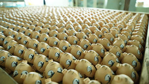 Figuras Personalizadas de Perros Bobblehead, Adornos <span class=keywords><strong>para</strong></span> <span class=keywords><strong>Autos</strong></span>, Muñecos de Juguete <span class=keywords><strong>para</strong></span> Perros - Product Image 5