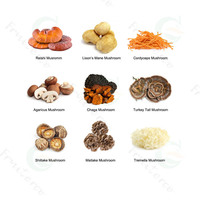 Fruiterco Private Label Echte Morieljes Extract Black Morel Mushroom Morchella Esculenta Extract