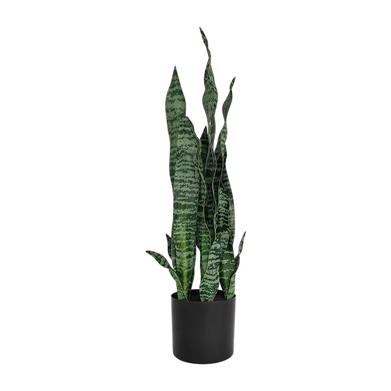 新しいデザイン盆栽人工植物ヘビ緑鉢植えSansevieria Trifasciata植物家の装飾のための黒い鉢