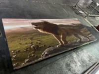 Panel de Pared de PVC Moderno Clásico Impermeable con Diseño de Mármol UV e Impresión 3D de 1220x2440mm para Sala de Estar y Uso en Hoteles