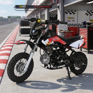 Motocicleta Todoterreno de 110cc, Refrigerada por Aire, de Gasolina, con Frenos de Disco, Cilindro Único, Tubos de Escape Dobles Rectos, 110cc - Product Image 1