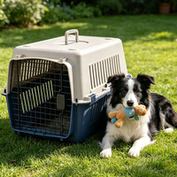 Cage de transport pour animaux de compagnie en plastique, portable, pour chat et chien, design ergonomique, ventilée, respirante, tendance
