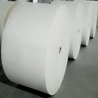 Papel Offset Especializado de Alta Calidad con Revestimiento Blanco, de una Sola Cara, Ecológico, Resistente a la Grasa, 100% Pulpa Virgen, 80g/m², Hecho en China