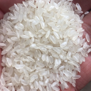 ข้าวคามอลิโน่เมล็ดกลางคุณภาพดีที่สุดสำหรับการส่งออก ราคาแข่งขัน-WA 0084 362 688 431 (คุณเฮเลน) - Product Image 2