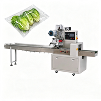Machine d'emballage horizontale Flow Wrap pour l'emballage de type coussin, en promotion directe usine