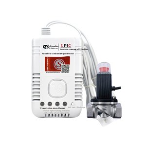 Khí đốt tự nhiên rò rỉ khí đốt tự nhiên khí nhà nhà nhà hàng khí Propane khí tự nhiên Van tự nhiên báo động - Product Image 1