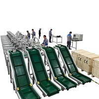 Convoyeur vertical compact à bande pour déchargement de conteneurs, élévateur de type Z pour la logistique et le levage en optimisation d'espace