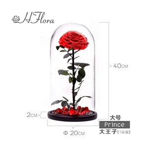 Nuevas Rosas de San Valentín, Rosas Grandes y Elegantes Preservadas en Cúpula de Cristal, Regalo - Product Image 2