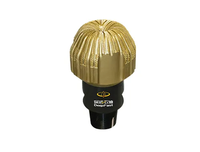 Foret polycristallin thermiquement stable DP
