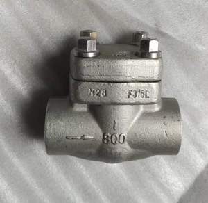 Check Valve Manufacturer Socket Welded End Forged DN25 ASTM A105 SW Type Piston Forged CL800 Check Valve