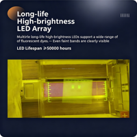 Moniteur d'électrophorèse à lumière bleue IKEME, transilluminateur de gel d'acides nucléiques, détecteur d'imagerie ADN ARN pour usage clinique en laboratoire