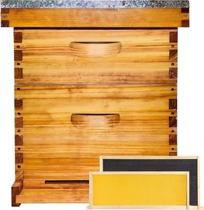Hot Sale New 2 Layer 10 Frames Wax Coated Wooden Langstroth Beehive Complete <b>Set</b> - Product Image 1