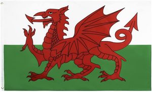 New <strong>Wales</strong> Double Sides Digital Printed Window Hanging 100% Polyester Car <strong>Flag</strong> Banner With Large Flagpole - Product Image 4