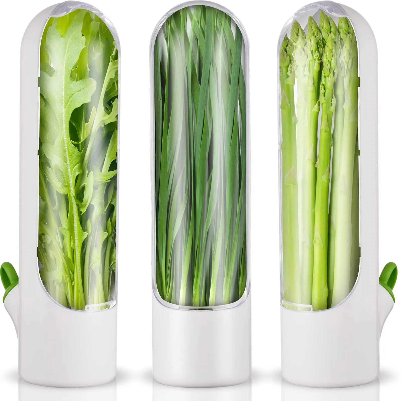 2024 Novas ideias de produtos 300ml Recipiente transparente para armazenar sabores de ervas e especiarias, protetor de frescor para uso em geladeira