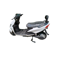 Moto électrique 1500W avec pneus à vide de 10 pouces, motos tout-terrain pour adultes, fournie directement par l'usine