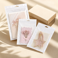 Sacs d'emballage refermables en PE nacré avec fermeture éclair pour cartes-cadeaux, souvenirs et ensembles de boutiques – Vente en gros