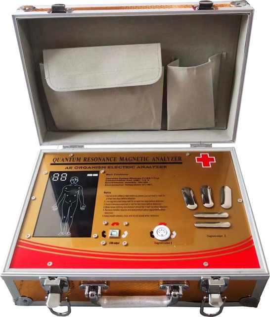 2 1 Multi-languages Ae Organism Electric Bio Therapy Device Digital Quantum Physical Therapy Machine USB Rechargeable CE