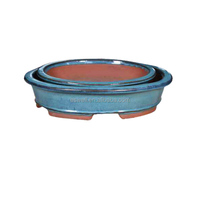 Plantes de pépinière, pots de culture pour bonsaï, pots en céramique pour bonsaï