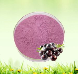 Ягодный сок Acai, фруктовый порошок, 99%, чистый антоцианин, Ягодный порошок Acai - Product Image 2