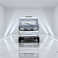 Nouveau camion à benne basculante électrique, mini pick-up, benne basculante hydraulique, véhicule de transport de marchandises, alimenté par batterie, véhicule utilitaire tout-terrain, utilisation agricole