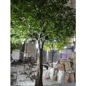Özel Fiberglass yüksek yapay zeytin ağacı ile fiberglas ahşap gövde yapılmış plastik şube malzeme zeytin ağacı Cafe için