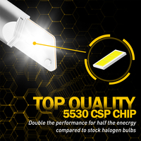   Bombillas LED para Faros Delanteros de Coche de Alta Potencia, Mini, 12v, Súper Brillantes, 9005, para Automóvil