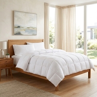 Couette rafraîchissante Queen Size toutes saisons, matelassée, de luxe, ultra-douce, respirante, légère et anti-agglomération pour hôtel