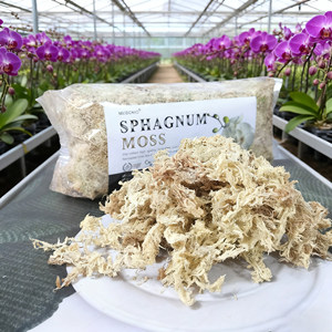 Musgo Sphagnum Moderno <span class=keywords><strong>de</strong></span> Primera Calidad para Nutrición <span class=keywords><strong>de</strong></span> Plantas y Desarrollo Radicular, Ecológico, Garantiza una Follaje Abundante - Product Image 1