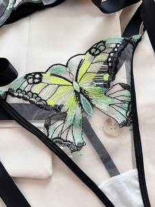 Wholesale Green Butterfly Embroidery Lace Lingerie Set Sexy Sheer Mesh Underwire <b>Bra</b> and Tie <b>Straps</b> Thong Set Underwear Set - Product Image 6