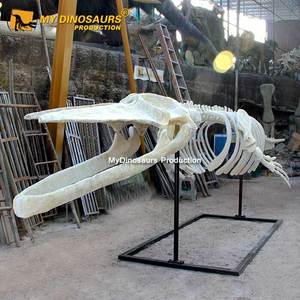 V Sợi Thủy Tinh Nhựa Màu Xanh Cá Voi Mô Hình Xương Để Bán - Product Image 2