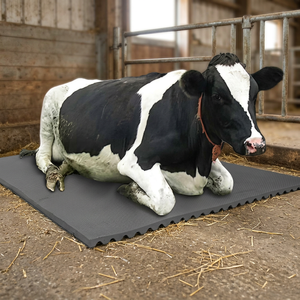 Wholesale <b>Heavy</b> <b>Duty</b> Cow <b>Rubber</b> <b>Mat</b> Anti Slip Cattle Barn Flooring Dairy Farm Livestock Stall Floor <b>Mat</b> - Product Image 4