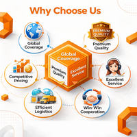OEM ODM Индивидуальный женский парфюм-спрей, поставщик ароматов под собственной торговой маркой, экологичная упаковка, большой объем, быстрая доставка