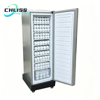 Congélateur vertical solaire 198L hors réseau, 11 niveaux, 24V CC, machine à glaçons à congélation rapide pour zones rurales