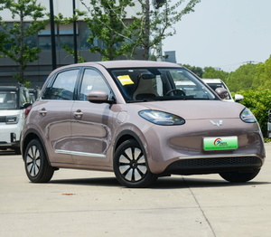 <strong>Wuling</strong> Bingo Small Pure Electric <strong>Wuling</strong> Car Bingguo 203km Light Enjoyment Electric Cars - Product Image 3
