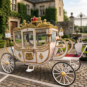 Chariot Électrique Royal d'Extérieur Personnalisé à Prix de Gros, Chariot Utilitaire Électrique Sans Chevaux, Vente Chaude - Product Image 1
