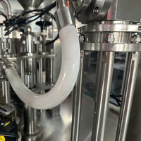 Machine de remplissage et de scellage automatique de tubes souples en plastique électrique