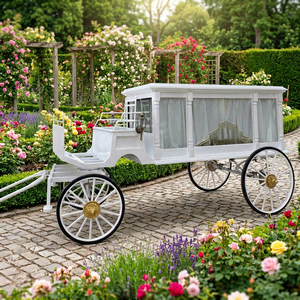 2026 Carrosse funéraire vintage à chevaux, couvert de verre, électrique, traîné par des chevaux, pour cercueil - Product Image 1