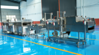 Équipement de ligne de friture industrielle à économie d'énergie, ligne de friture automatique pour chips de banane avec contrôle uniforme de la température